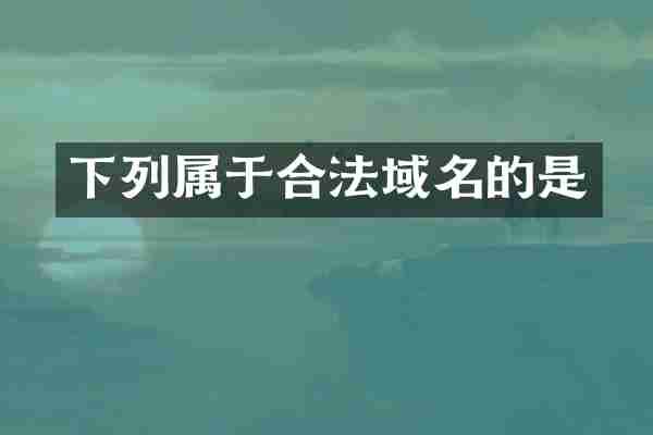 下列属于合法域名的是