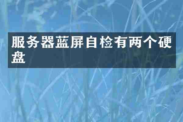 服务器蓝屏自检有两个硬盘