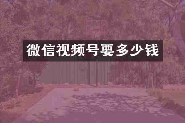 微信视频号要多少钱