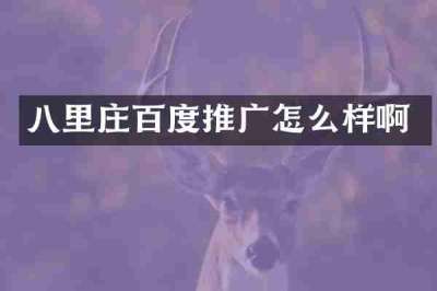 八里庄百度推广怎么样啊