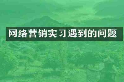 网络营销实习遇到的问题