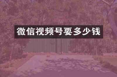 微信视频号要多少钱