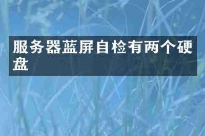 服务器蓝屏自检有两个硬盘