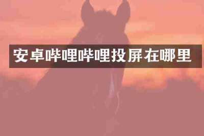 安卓哔哩哔哩投屏在哪里