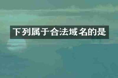 下列属于合法域名的是