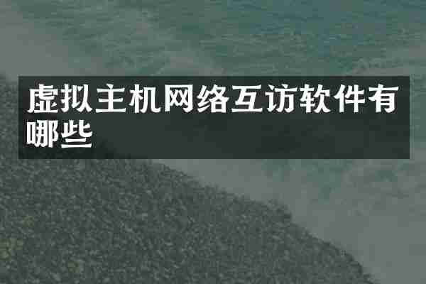 虚拟主机网络互访软件有哪些