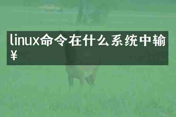linux命令在什么系统中输入