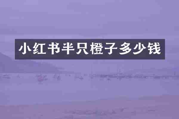 小红书半只橙子多少钱