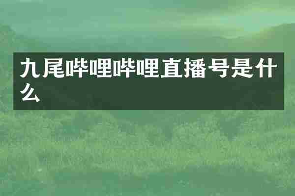 九尾哔哩哔哩直播号是什么
