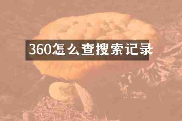 360怎么查搜索记录