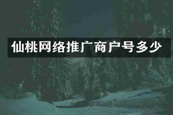 仙桃网络推广商户号多少
