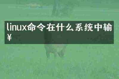 linux命令在什么系统中输入