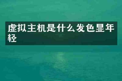 虚拟主机是什么发色显年轻