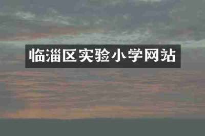 临淄区实验小学网站