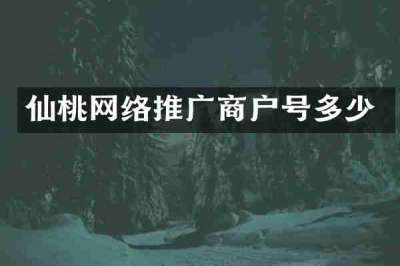 仙桃网络推广商户号多少