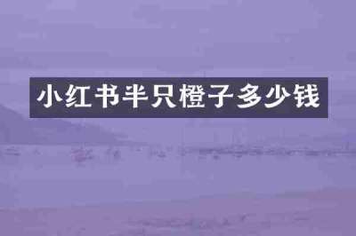 小红书半只橙子多少钱