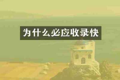 为什么必应收录快