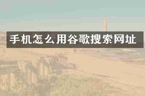 手机怎么用谷歌搜索网址