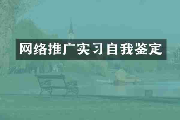 网络推广实习自我鉴定