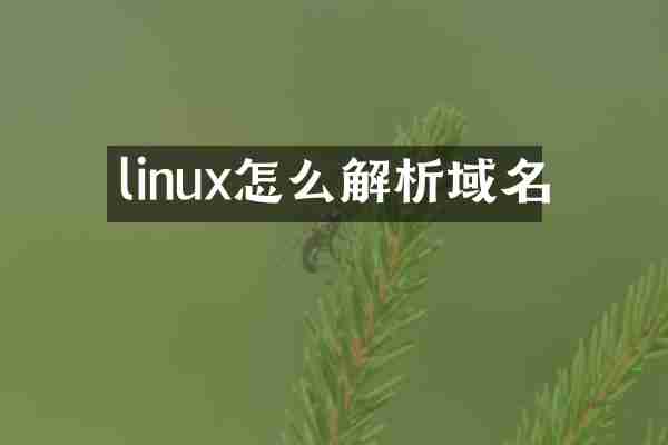 linux怎么解析域名