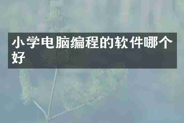 小学电脑编程的软件哪个好