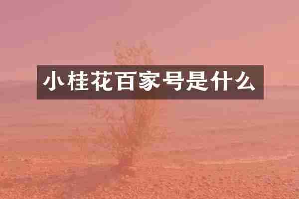 小桂花百家号是什么