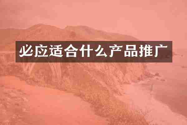 必应适合什么产品推广