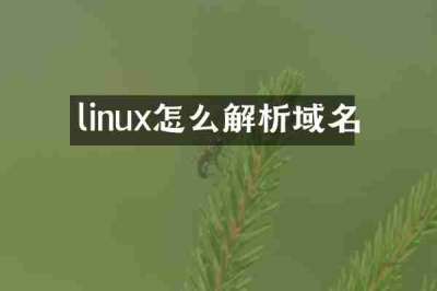 linux怎么解析域名