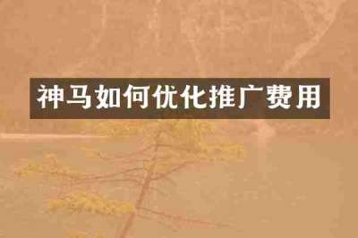 神马如何优化推广费用