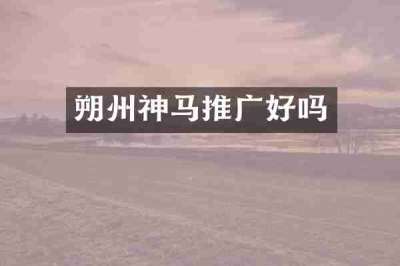 朔州神马推广好吗