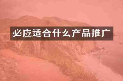 必应适合什么产品推广