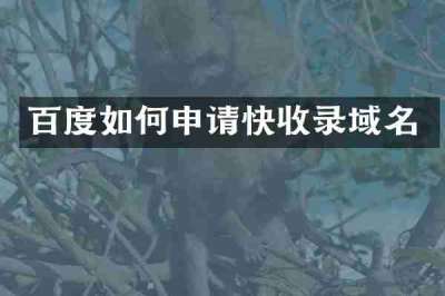 百度如何申请快收录域名