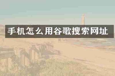 手机怎么用谷歌搜索网址