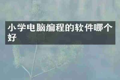 小学电脑编程的软件哪个好
