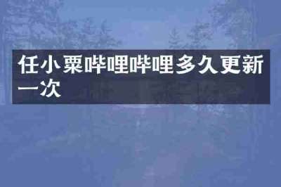 任小粟哔哩哔哩多久更新一次