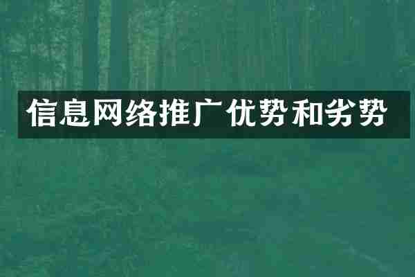 信息网络推广优势和劣势