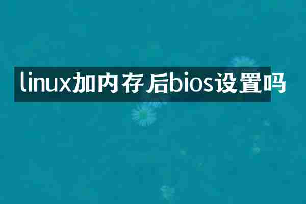 linux加内存后bios设置吗