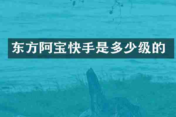 东方阿宝快手是多少级的