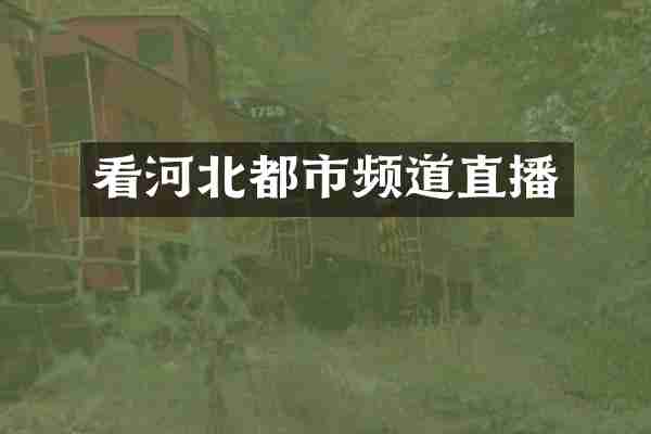 看河北都市频道直播