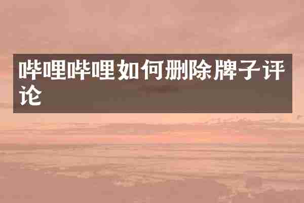 哔哩哔哩如何删除牌子评论