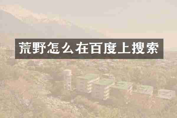 荒野怎么在百度上搜索