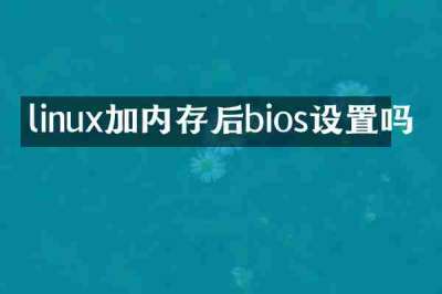linux加内存后bios设置吗