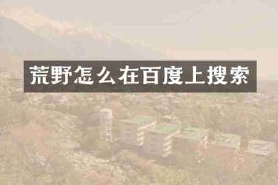 荒野怎么在百度上搜索