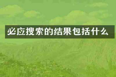 必应搜索的结果包括什么