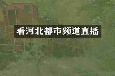 看河北都市频道直播
