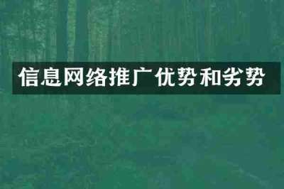 信息网络推广优势和劣势