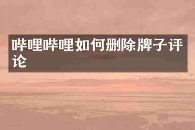哔哩哔哩如何删除牌子评论