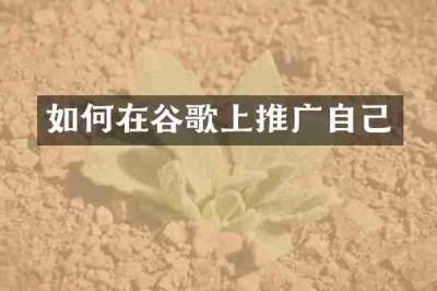 如何在谷歌上推广自己