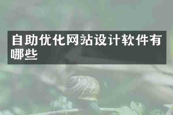 自助优化网站设计软件有哪些