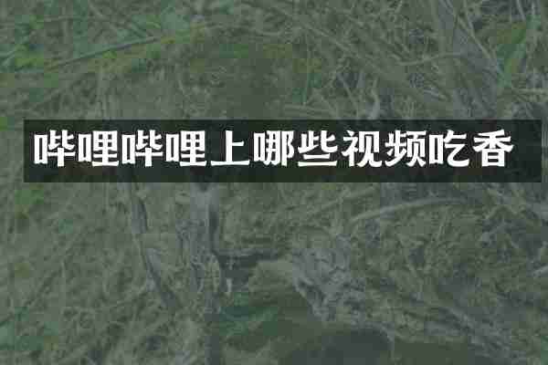 哔哩哔哩上哪些视频吃香